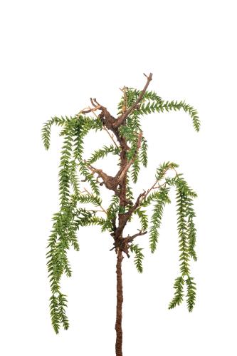 Lummer - Grønn - 90 cm - www.frokenfraken.se
