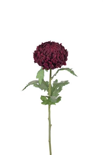 Chrystanthemum - Rød - 70 cm - www.frokenfraken.se