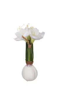 Amaryllis i voks - Hvit - 30 cm - www.frokenfraken.se