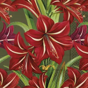 Serviett - Amaryllis - 33 x 33 cm - www.frokenfraken.se