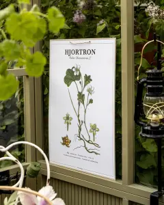 Plansj Hjortron - L44 x B66 cm - www.frokenfraken.se