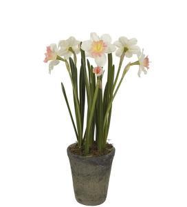 Narciss - Rosa - 55 cm - www.frokenfraken.se