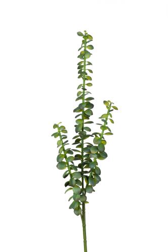 Sukkulent - Grønn - 85 cm - www.frokenfraken.se