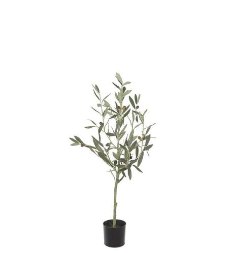 Olivtre - Grønn - 90 cm - www.frokenfraken.se