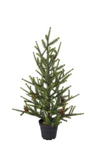 Gran - Grønn - 55 cm - www.frokenfraken.se
