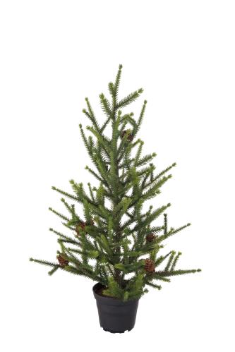 Gran - Grønn - 55 cm - www.frokenfraken.se