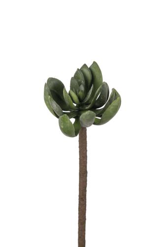 Echeveria - Grønn - 50 cm - www.frokenfraken.se