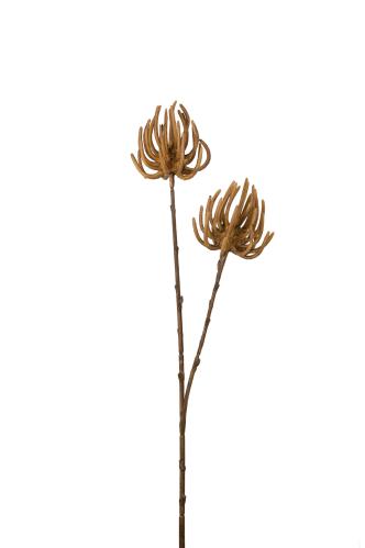 Sukkulent - Brun - 70 cm - www.frokenfraken.se