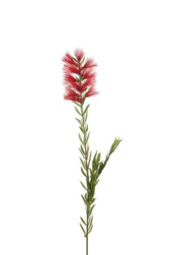 Lampeskrape - 65 cm - www.frokenfraken.se