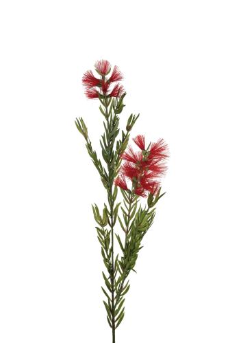 Lampeskrape - 85 cm - www.frokenfraken.se