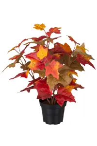 Lönn - Orange - 35 cm - www.frokenfraken.se