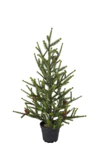Gran - Grønn - 55 cm - www.frokenfraken.se