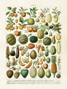 Plakat - Gresskar - 18 x 24 cm - www.frokenfraken.se