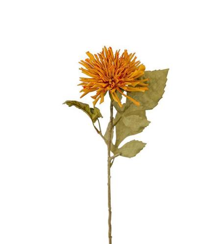 Krysantemum - Oransje - 60 cm - www.frokenfraken.se