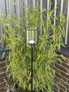 Lysestake på pinne med glass - Svart - 8,5 x 12,5/H105 cm - www.frokenfraken.se