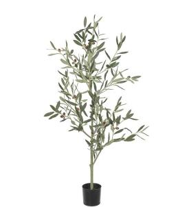 Olivtre - Grønn - 120 cm - www.frokenfraken.se