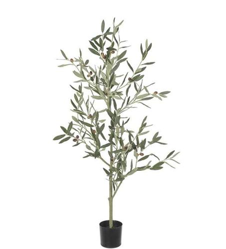 Olivtre - Grønn - 120 cm - www.frokenfraken.se