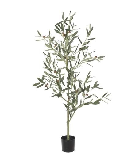 Olivtre - Grønn - 120 cm - www.frokenfraken.se
