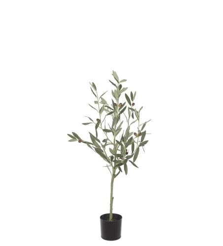 Olivtre - Grønn - 90 cm - www.frokenfraken.se