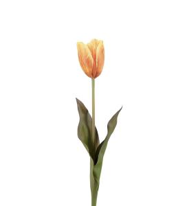 Tulipan - Oransje - 58 cm - www.frokenfraken.se