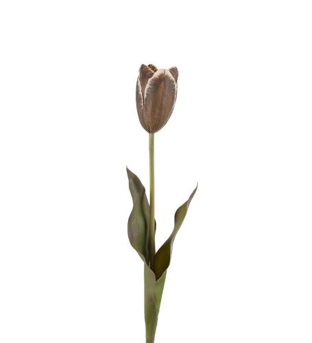 Tulipan - Brun - 58 cm - www.frokenfraken.se