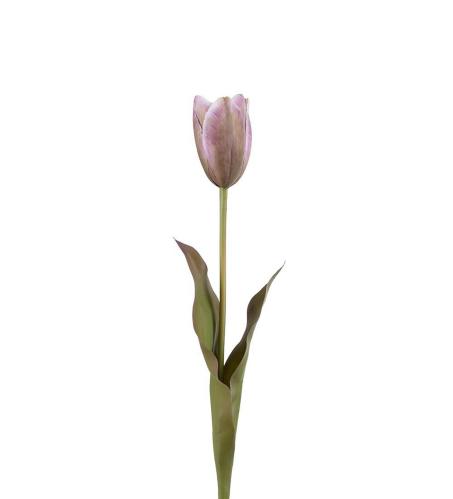 Tulipan - Lilla - 58 cm - www.frokenfraken.se