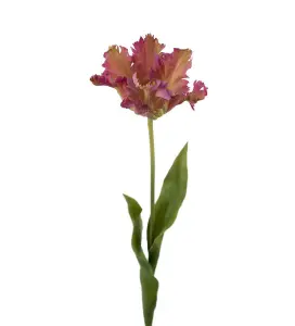 Tulipan - Lilla - 70 cm - www.frokenfraken.se