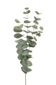 Eukalyptus - Grønn - 60 cm - www.frokenfraken.se