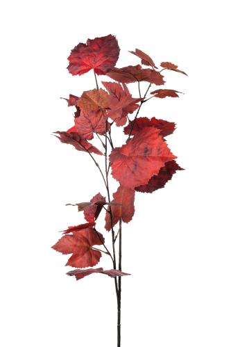 Kvist - Rød - 95 cm - www.frokenfraken.se
