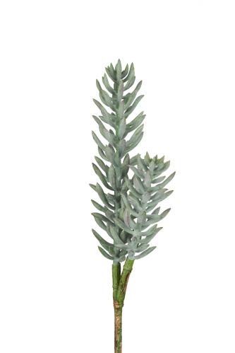 Sukkulent - Grønn - 50 cm - www.frokenfraken.se