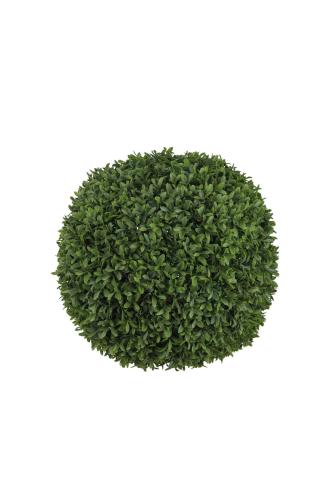 Buxbom - 40 cm - www.frokenfraken.se