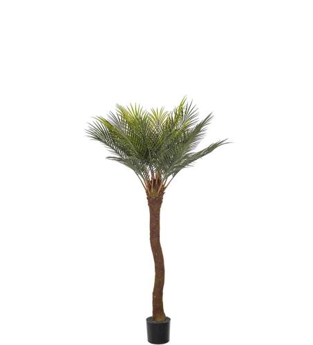 Cycaspalm - Grønn - 90 cm - www.frokenfraken.se