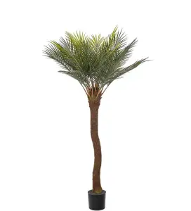 Cycaspalm - Grønn - 120 cm - www.frokenfraken.se