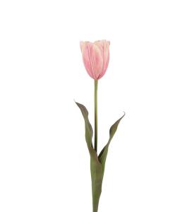 Tulipan - Rosa - 58 cm - www.frokenfraken.se