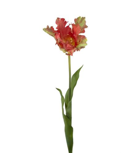 Tulipan - Oransje - 70 cm - www.frokenfraken.se