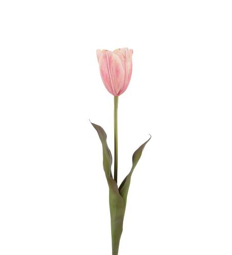Tulipan - Rosa - 58 cm - www.frokenfraken.se