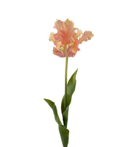 Tulipan - Rosa - 70 cm - www.frokenfraken.se