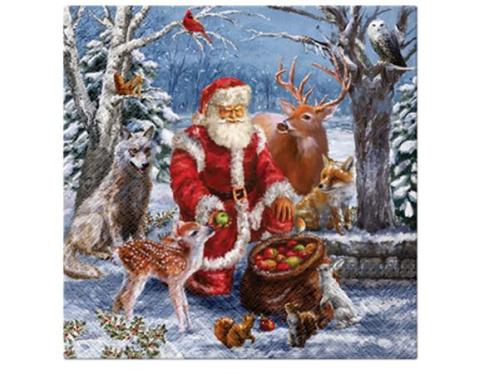 Servietter - Nisse med skogens dyr - 12-pakning - 33 x 33 cm - www.frokenfraken.se
