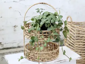 Korg - 2 etasjer - Natur - 24 x 38 cm - www.frokenfraken.se