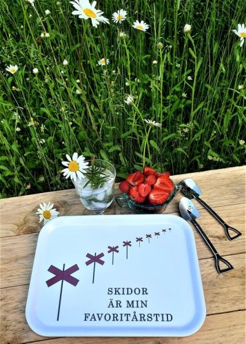 Bricka - Skidor er min favorittårstid - 27 x 20 cm - www.frokenfraken.se