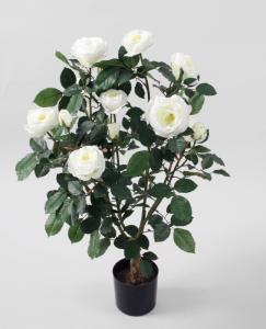 Rosenträd - Vit - 86 cm - www.frokenfraken.se