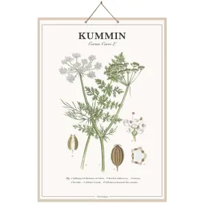 Skoleplansje Spisskummen - L44 x B66 cm - www.frokenfraken.se