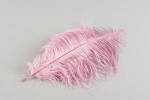 Strutsfjær - Rosa - 30-40 cm - www.frokenfraken.se