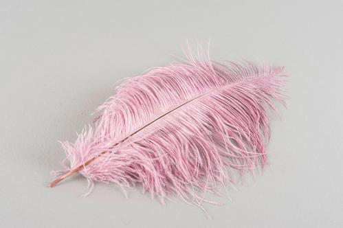 Strutsfjær - Rosa - 30-40 cm - www.frokenfraken.se