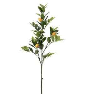 Citronkvist - Grønn - 120 cm - www.frokenfraken.se