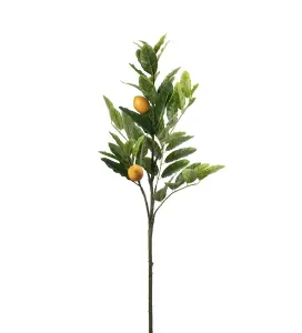 Citronkvist - Grønn - 90 cm - www.frokenfraken.se