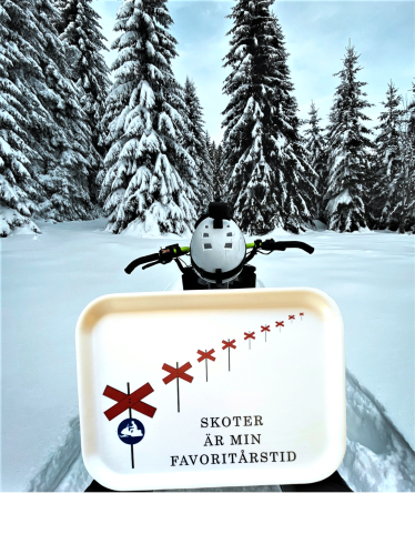 Bricka - Skuter er min favorittårstid - 27 x 20 cm - www.frokenfraken.se