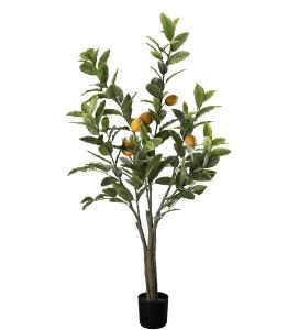 Citrontre - Grønn - 120 cm - www.frokenfraken.se