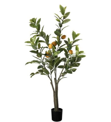 Citrontre - Grønn - 120 cm - www.frokenfraken.se
