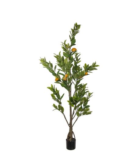 Citrontre - Grønn - 180 cm - www.frokenfraken.se